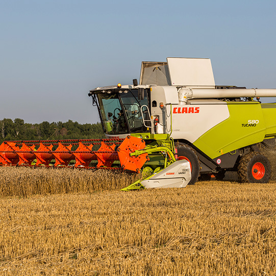 "Август-Муслюм"